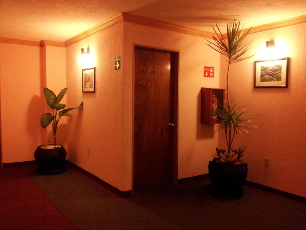 Hotel Siesta Del Sur メキシコシティ エクステリア 写真